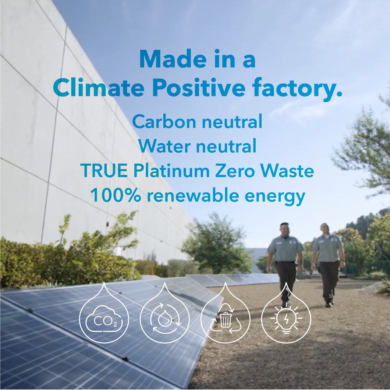 Earth Friendly All Surface Cleaner Parsley Plus (6x22Oz)-3