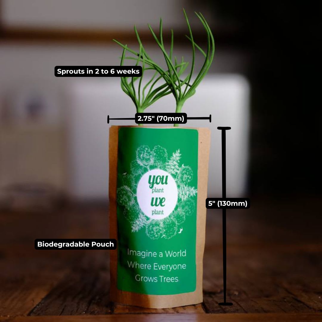 Earth Day Tree Pouch-4