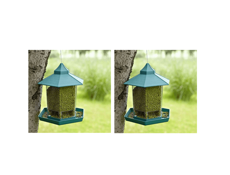 Weatherproof Avian Feeder Box-5