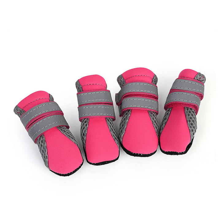 Luminous Comfort Stride: The Ultimate Dog Walking Shoes-6