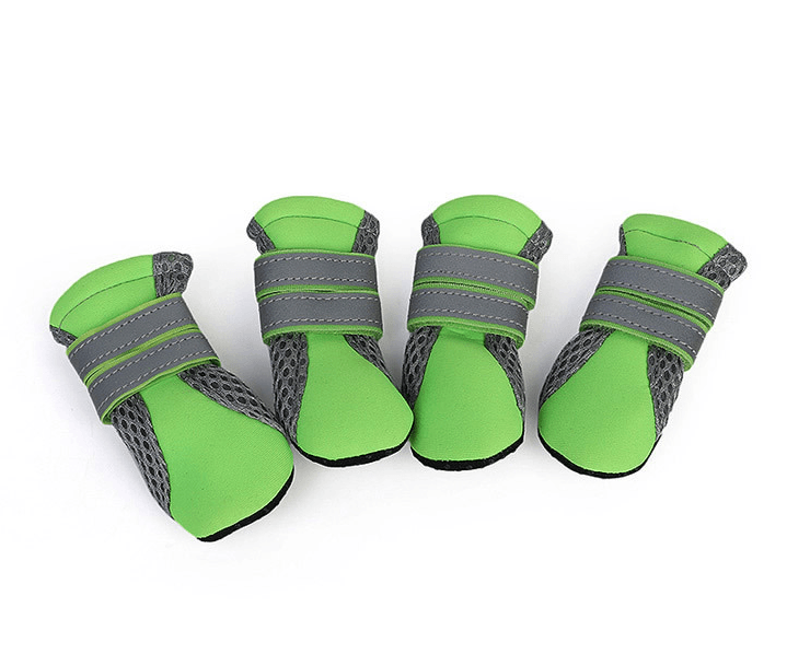 Luminous Comfort Stride: The Ultimate Dog Walking Shoes-4