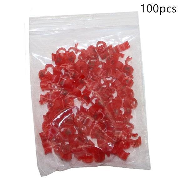 Vibrant Bird Foot Ring Assortment - Enhance Your Avian Collection!-9