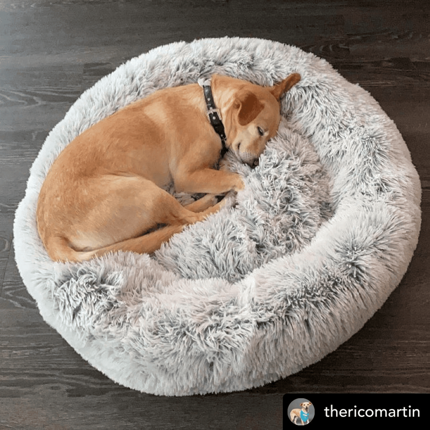 Mr. Peanut's OrthoPlush Pet Bed for Superior Comfort and Spinal Support-1