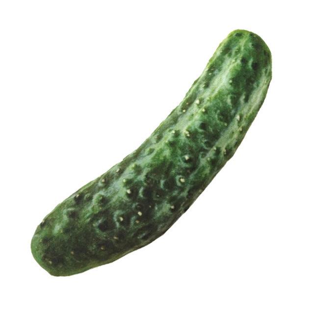 Vegetable Drumstick Chew Toy - Interactive Squeaky Toy For Dogs And Cats-7