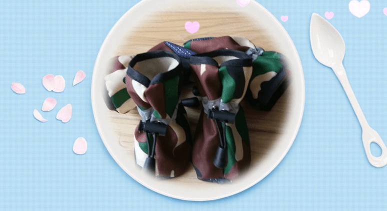 Stylish Paws: Trendy Tarpaulin Dog Shoes With A Unique Design-1