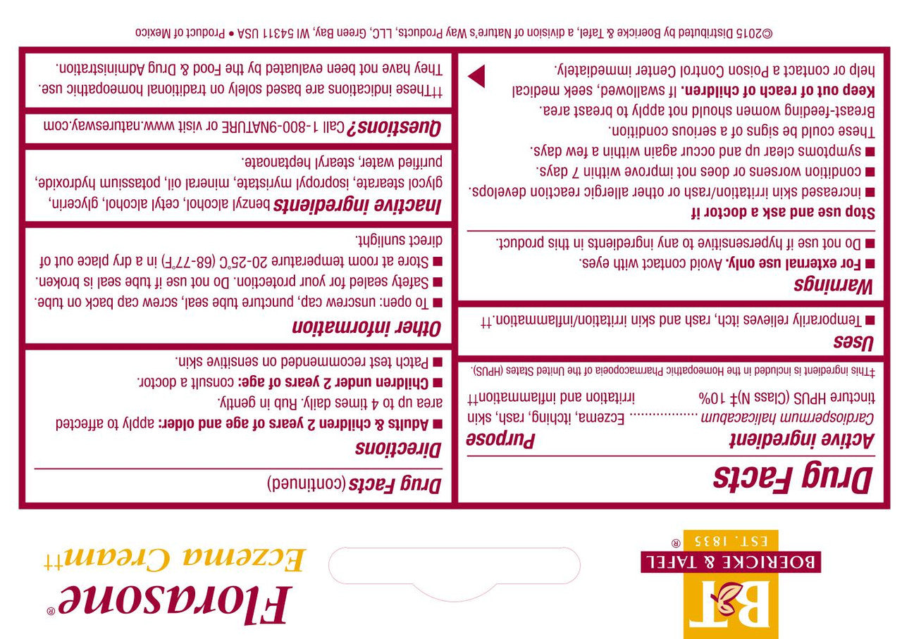 Boericke & Tafel Florasone Cream (1x1 Oz)-1