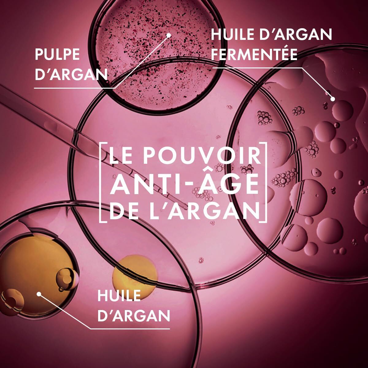 Facial Cream Melvita ARGÁN BIO-5