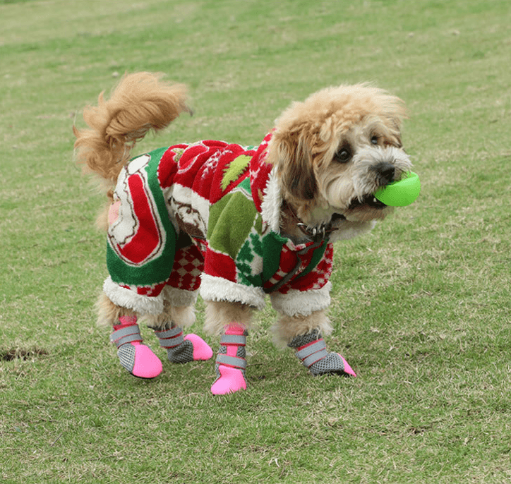 Luminous Comfort Stride: The Ultimate Dog Walking Shoes-1