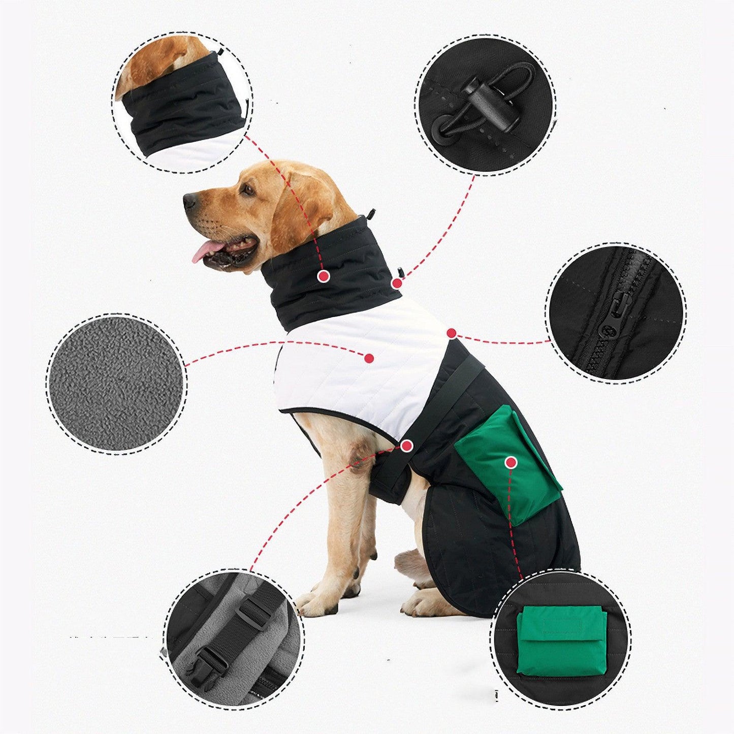 Winter Wonderland Dog Padded Coat-1