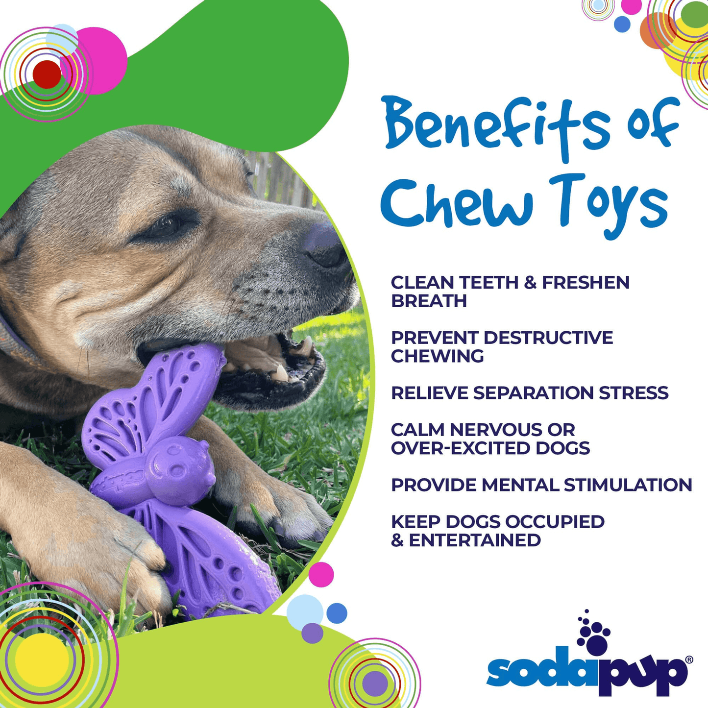 SP Butterfly Peanut Butter Chew & Enrichment Toy for Dogs-4