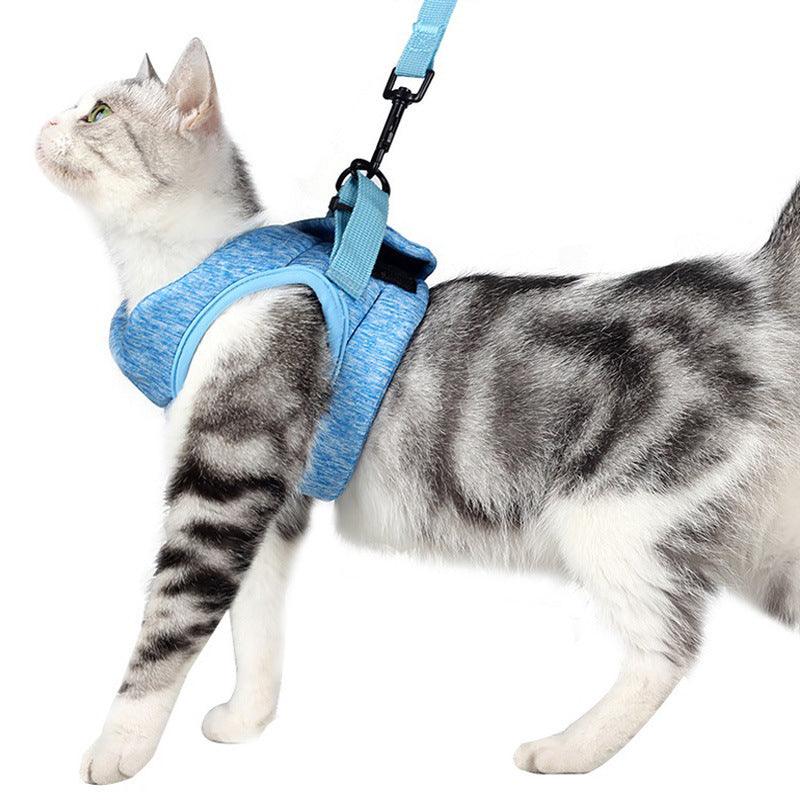 Lightweight Lace Cat Leash And Chest Strap Set - Stylish And Comfortable Outdoor Cat Harness-4