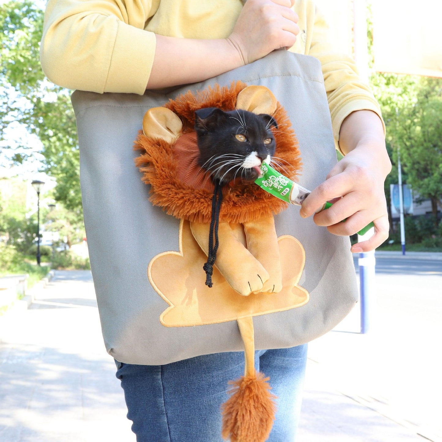 Lion Design Pet Carrier: Portable, Breathable, And Stylish For Travel With Your Furry Friend-1