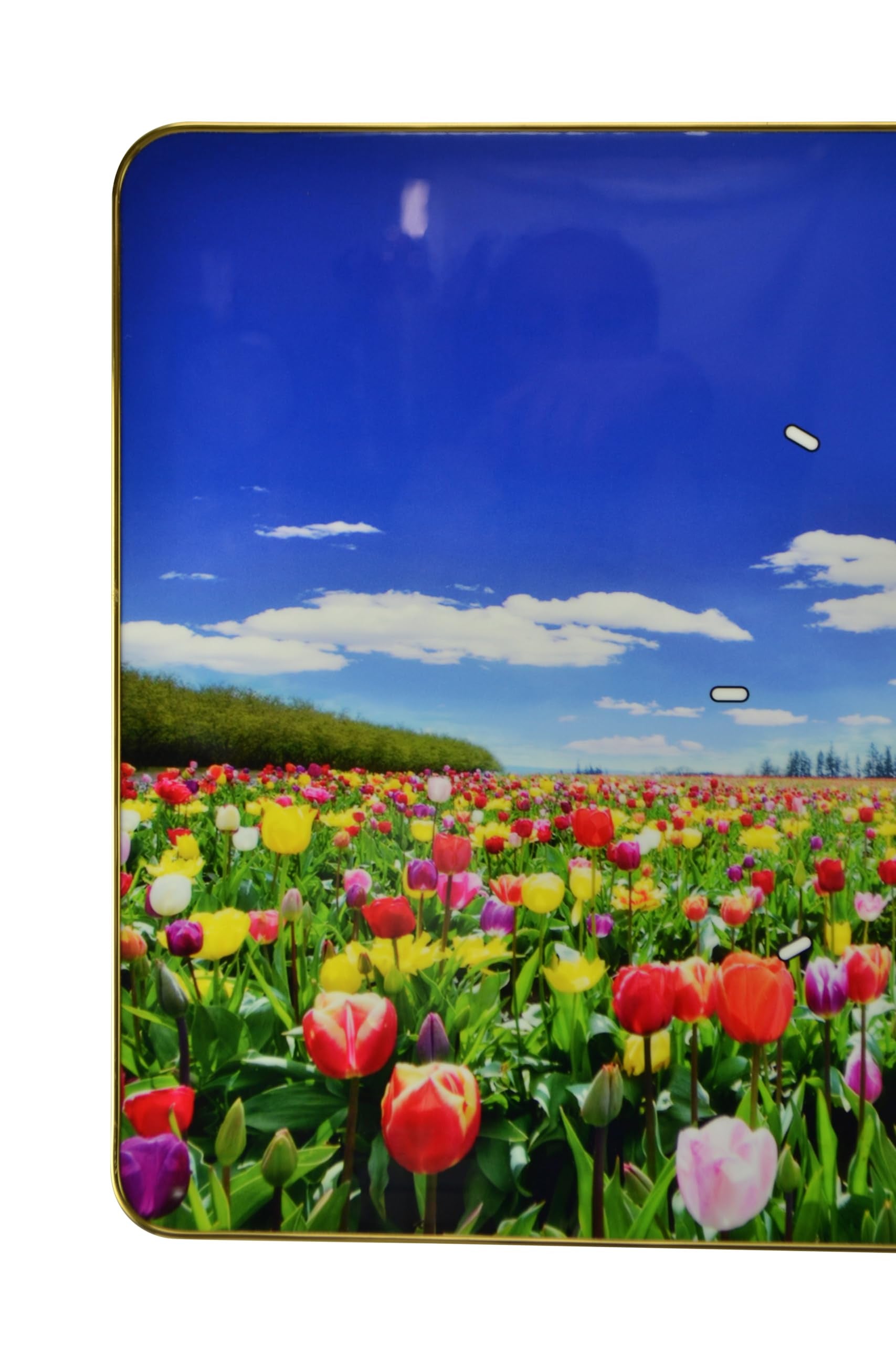 24" Blue Red And Gold Solid Wood and Acrylic Silent Tulips Floral Wall Clock-3