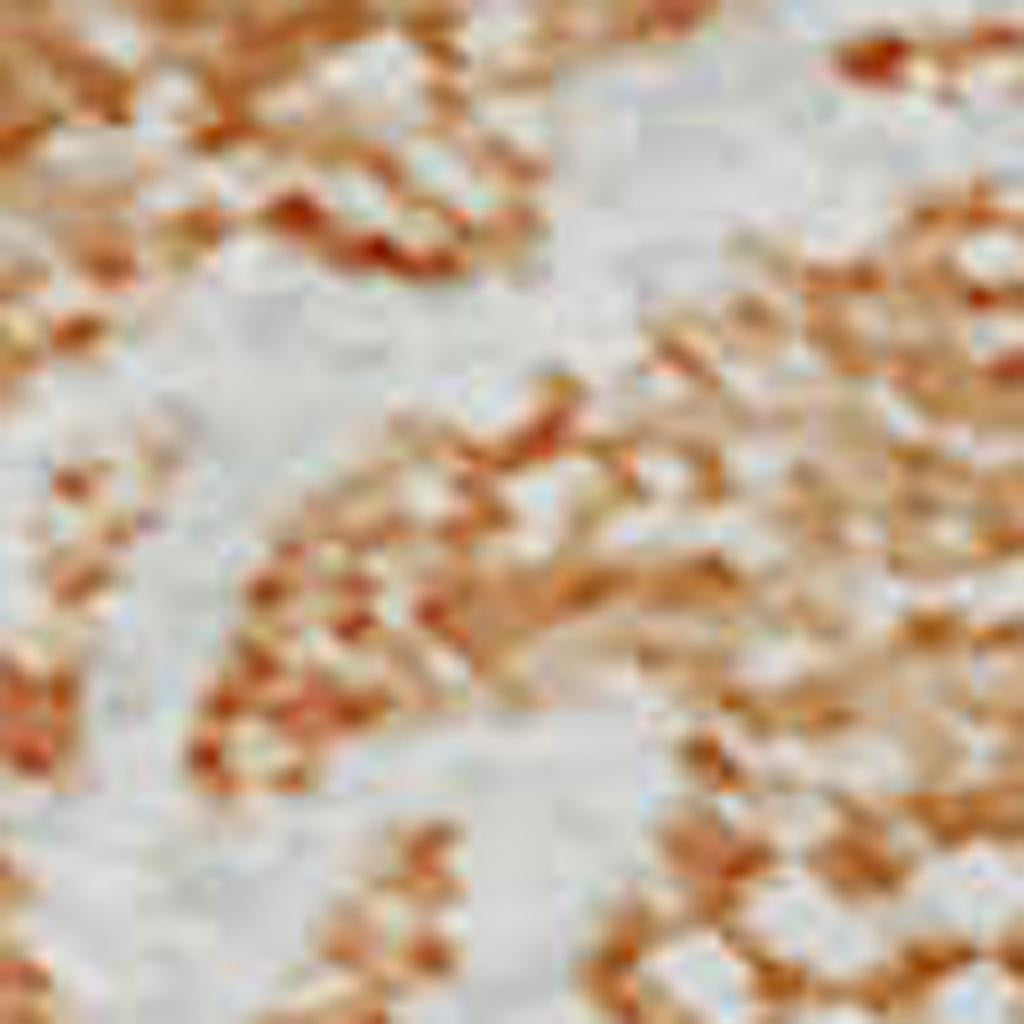 3' X 5' Peach And Ivory Floral Washable Area Rug With UV Protection-2