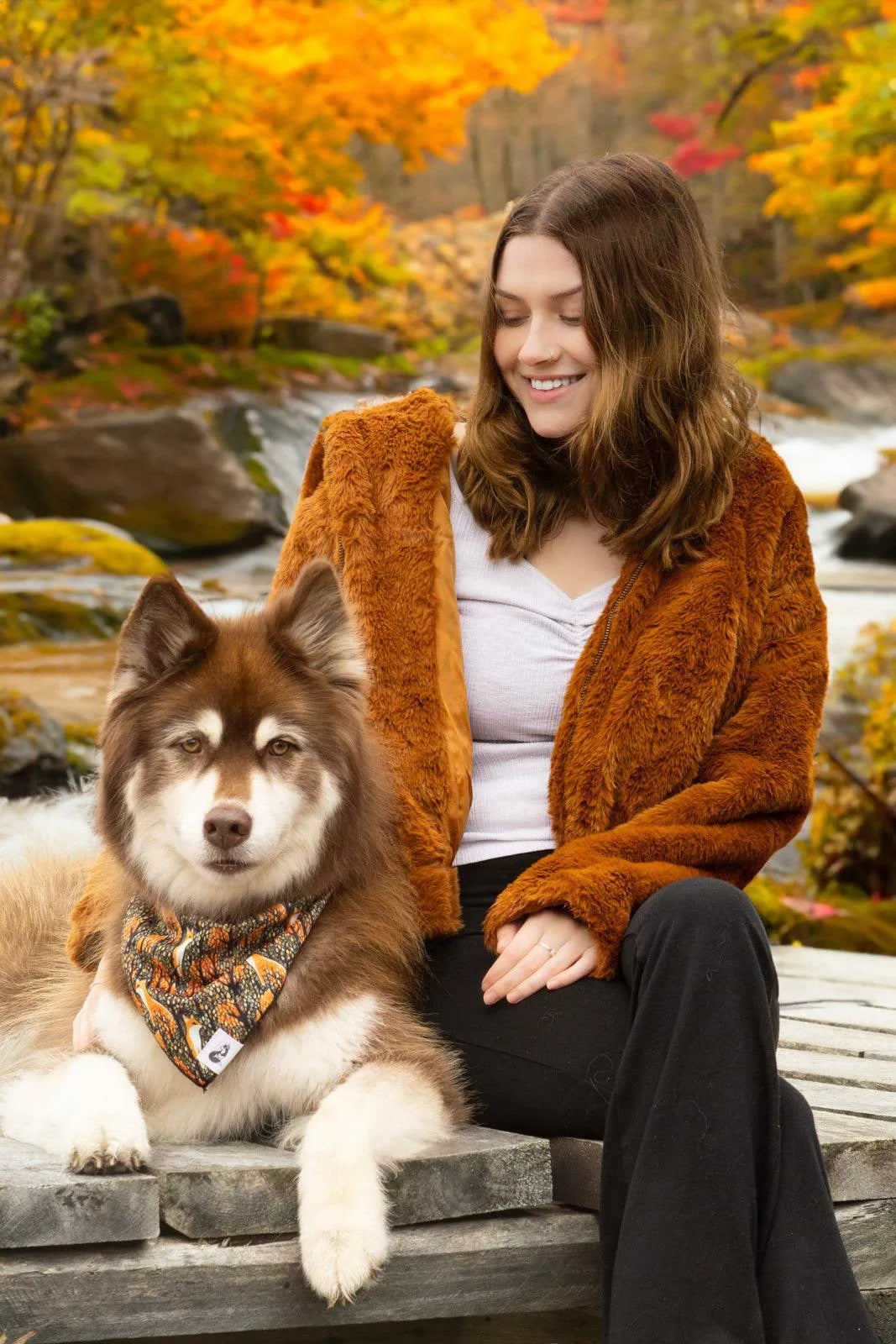 Foxes in Fall Dog Bandana & Matching Keychain-4