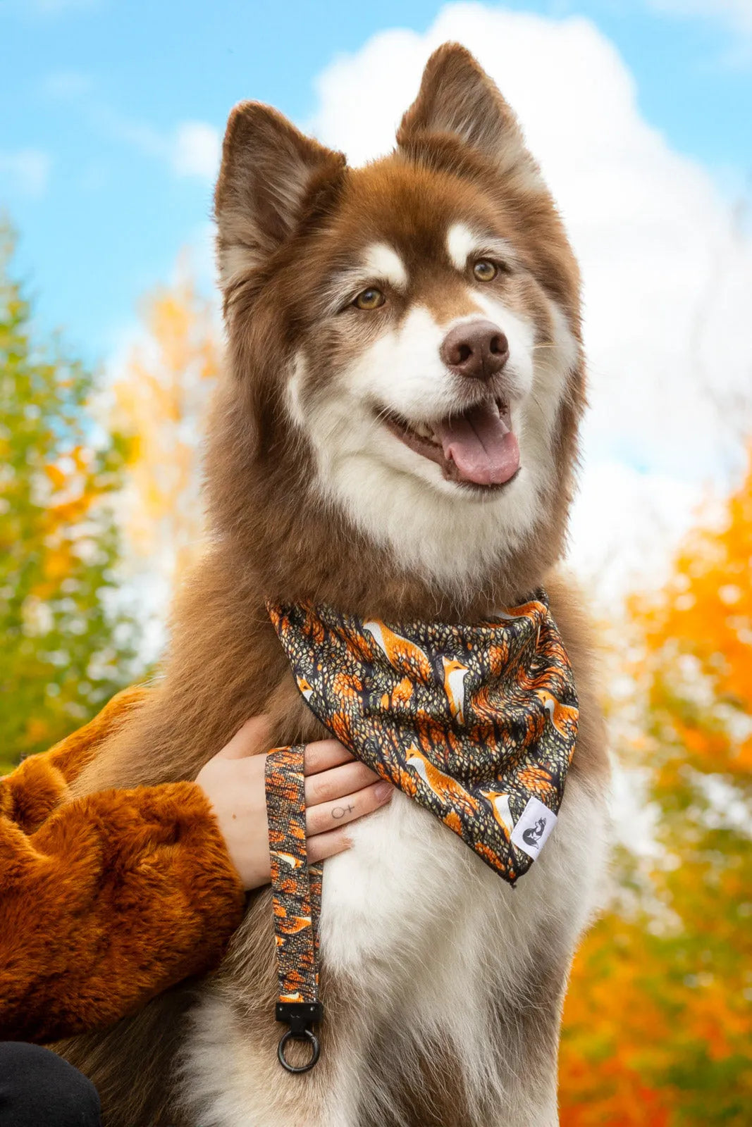 Foxes in Fall Dog Bandana & Matching Keychain-1