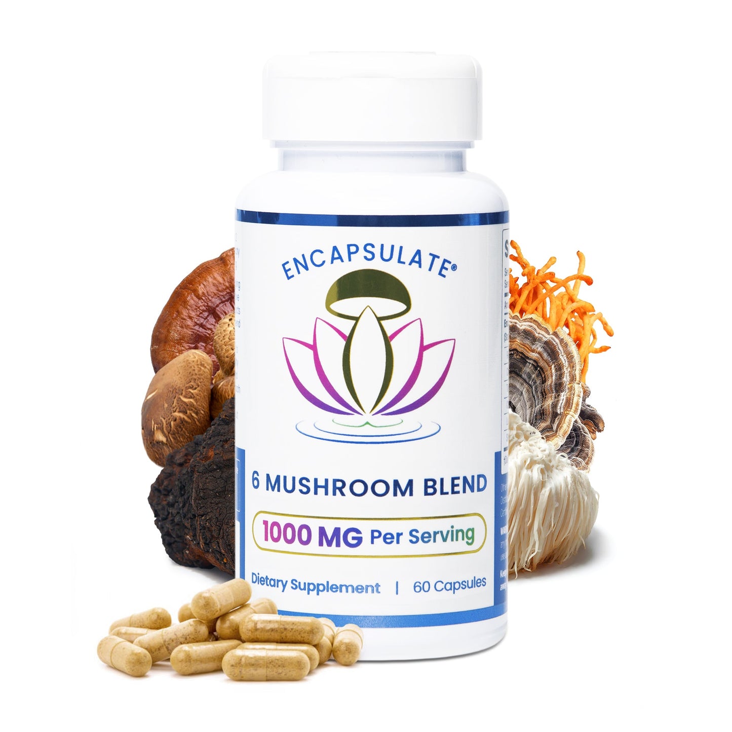 Encapsulate 6 Mushroom Blend 1:1-0