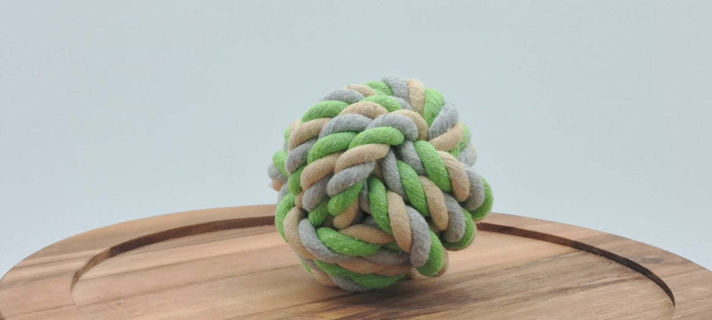 Fetch Ball-6