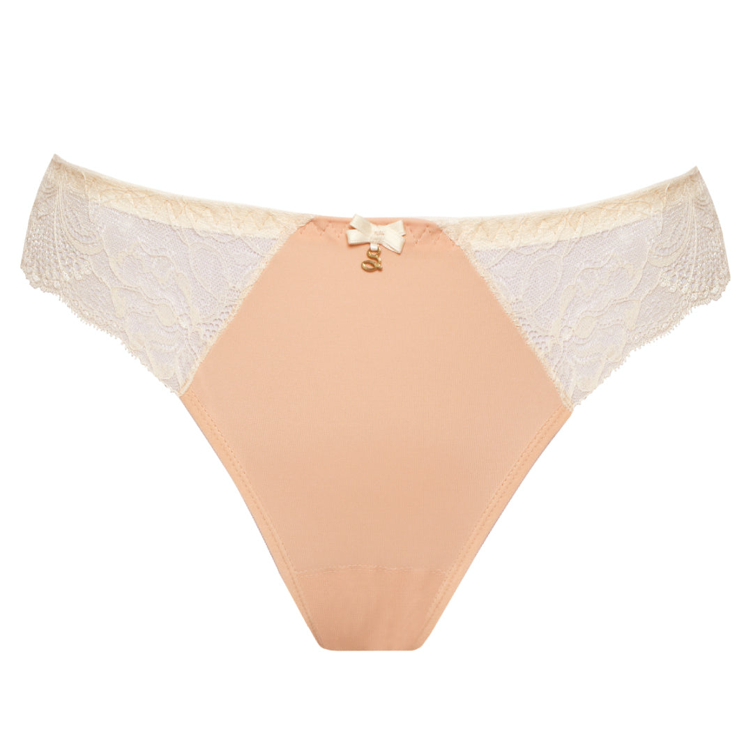Sheer Mesh Tulle Embroidered Tanga Panty Anabelle-3