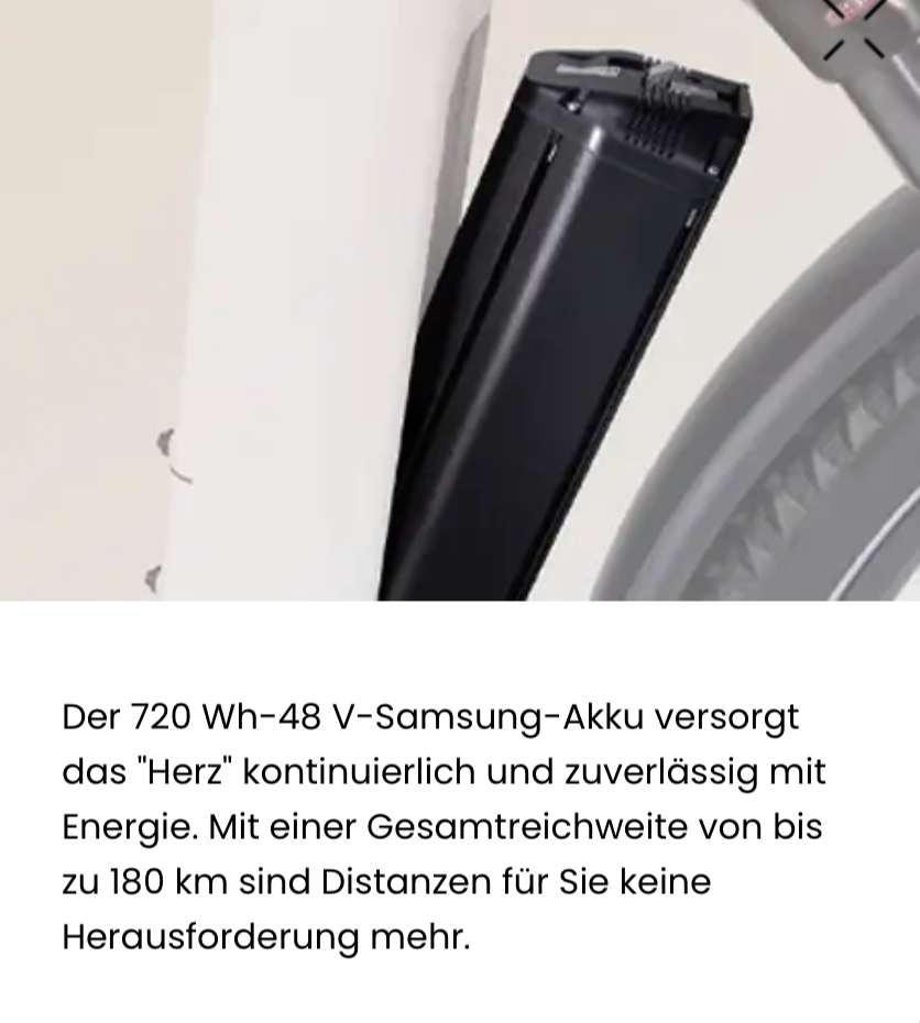 Deruiz Mica Pro - Vorbestellung-4