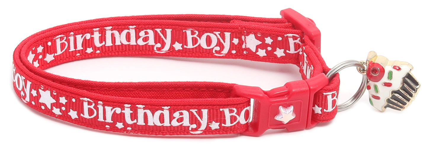 Birthday Boy Breakaway Cat Collar-16
