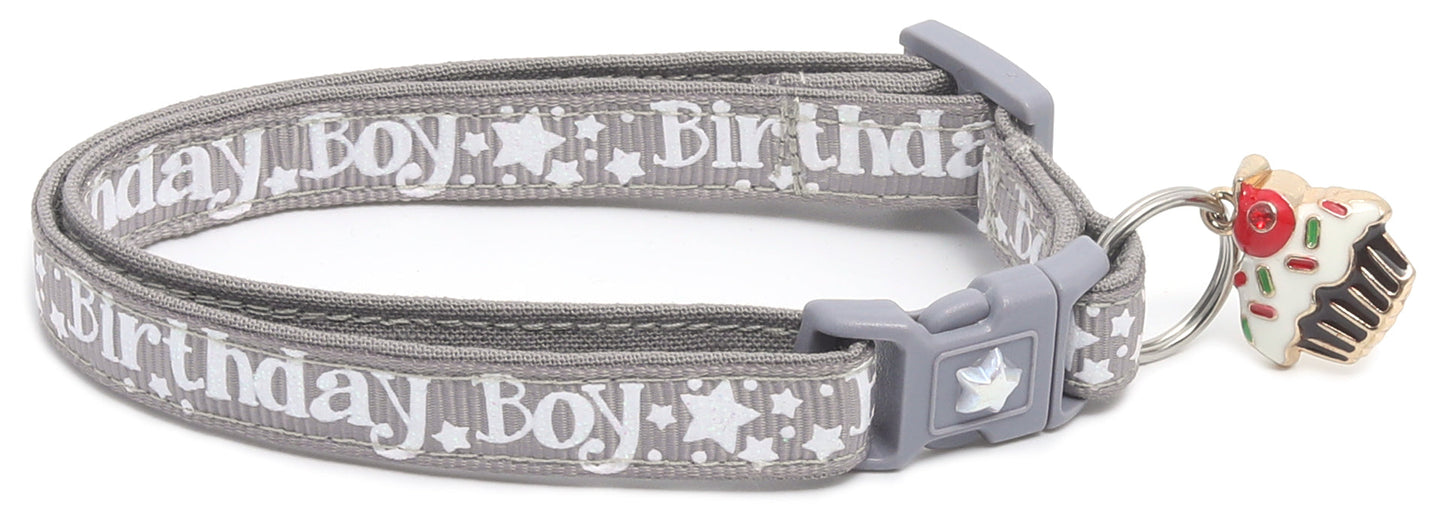 Birthday Boy Breakaway Cat Collar-19