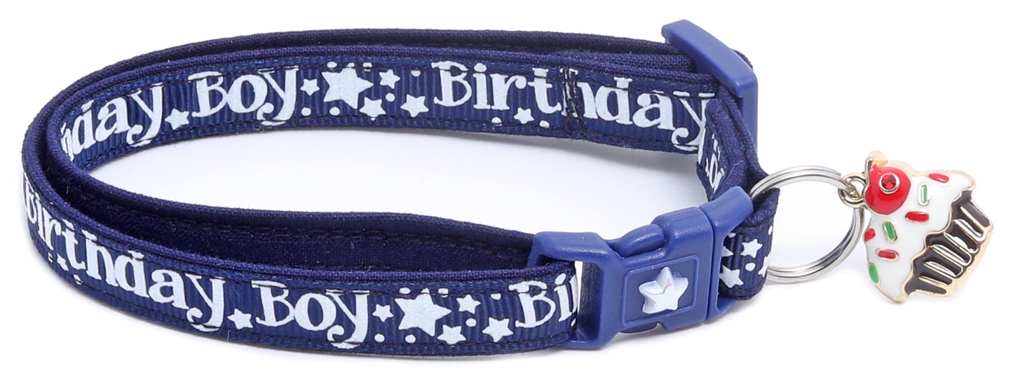 Birthday Boy Breakaway Cat Collar-17