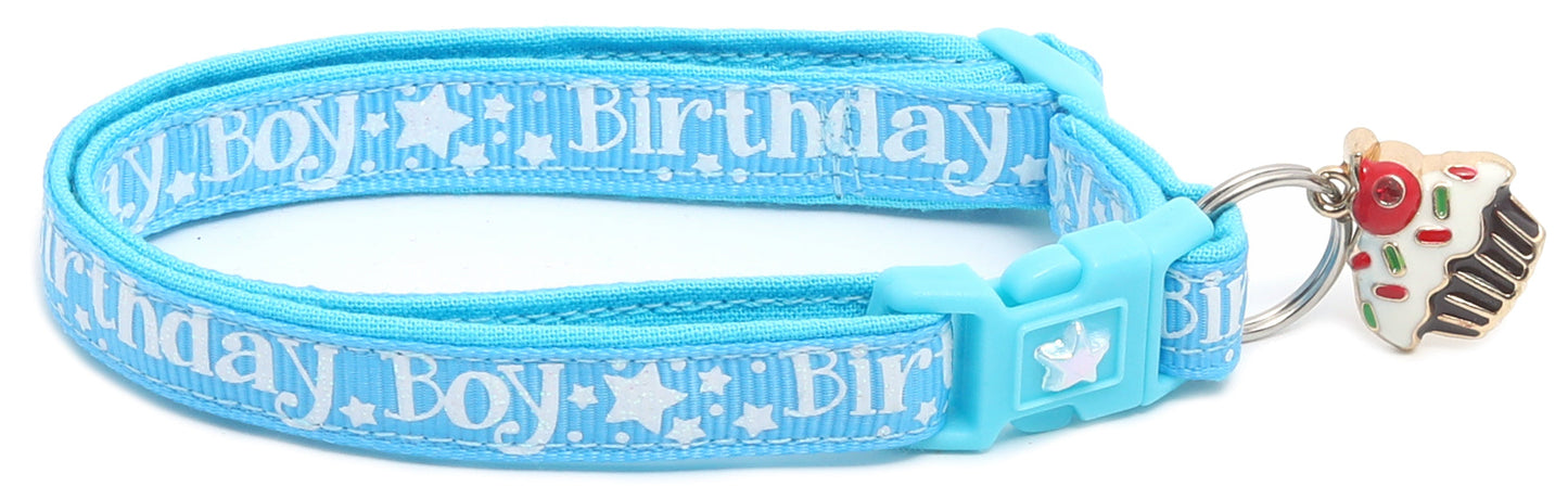 Birthday Boy Breakaway Cat Collar-15