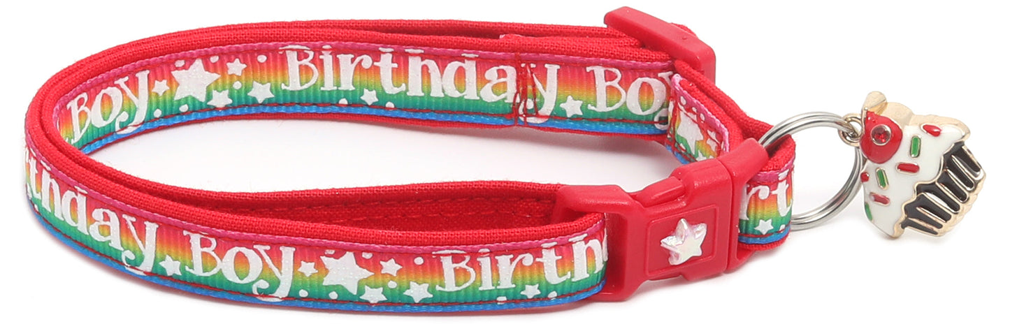 Birthday Boy Breakaway Cat Collar-18