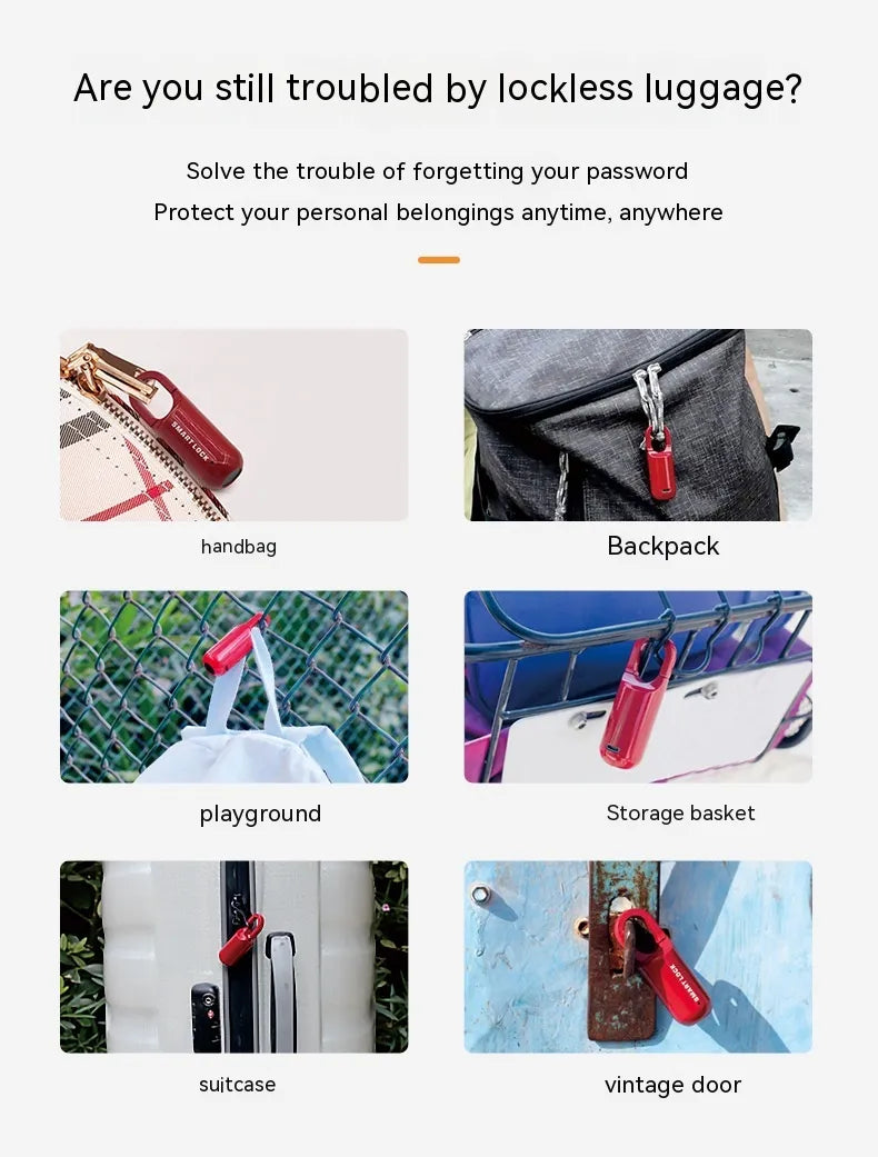 Bag USB Fingerprint Lock