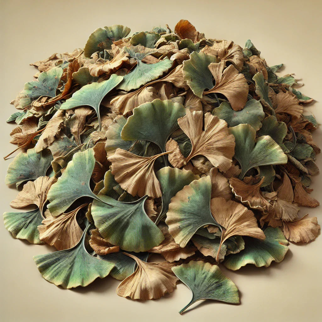 Ginkgo Leaves Whole (Ginkgo Biloba)-1