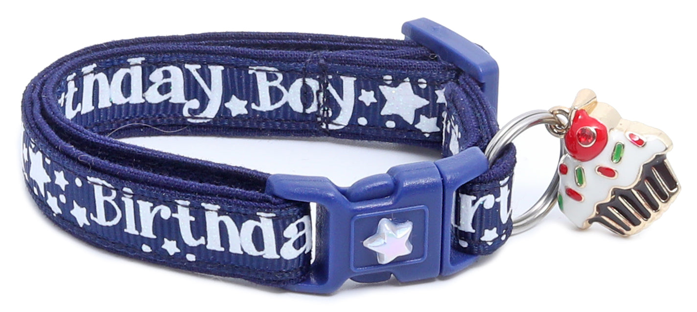 Birthday Boy Breakaway Cat Collar-23