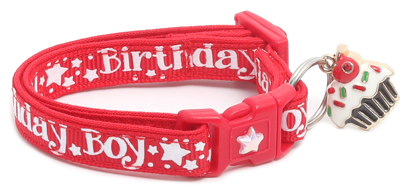 Birthday Boy Breakaway Cat Collar-22