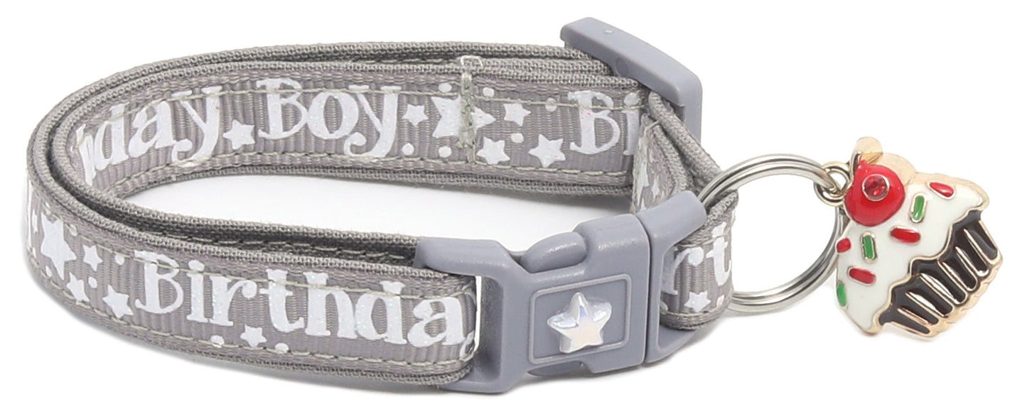Birthday Boy Breakaway Cat Collar-25