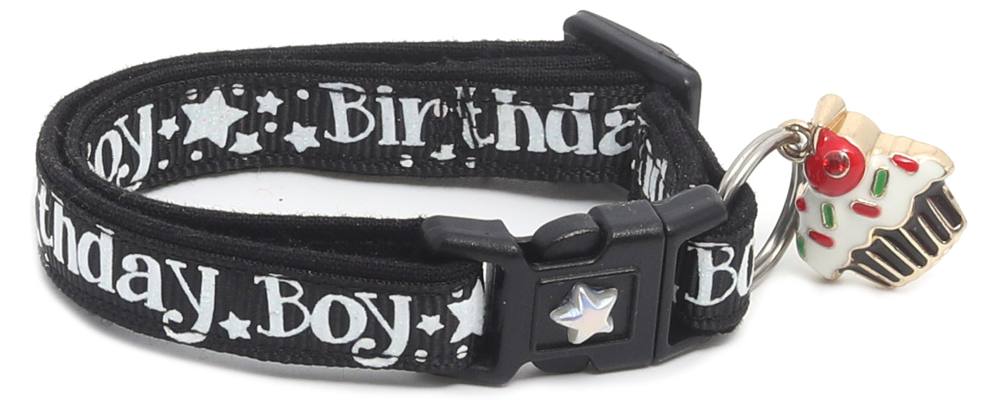 Birthday Boy Breakaway Cat Collar-21