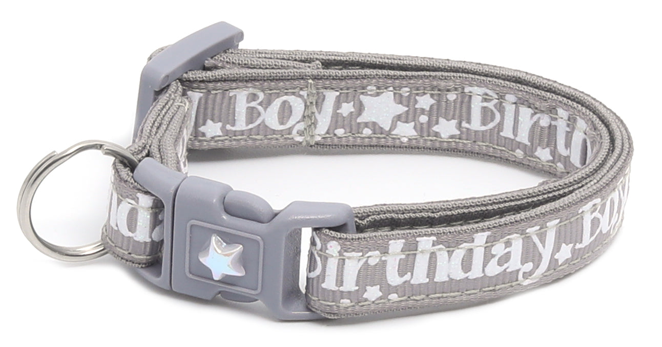 Birthday Boy Breakaway Cat Collar-37