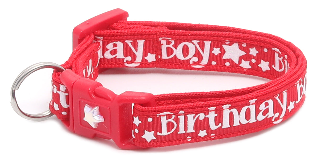 Birthday Boy Breakaway Cat Collar-34