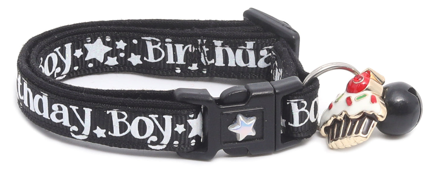 Birthday Boy Breakaway Cat Collar-27