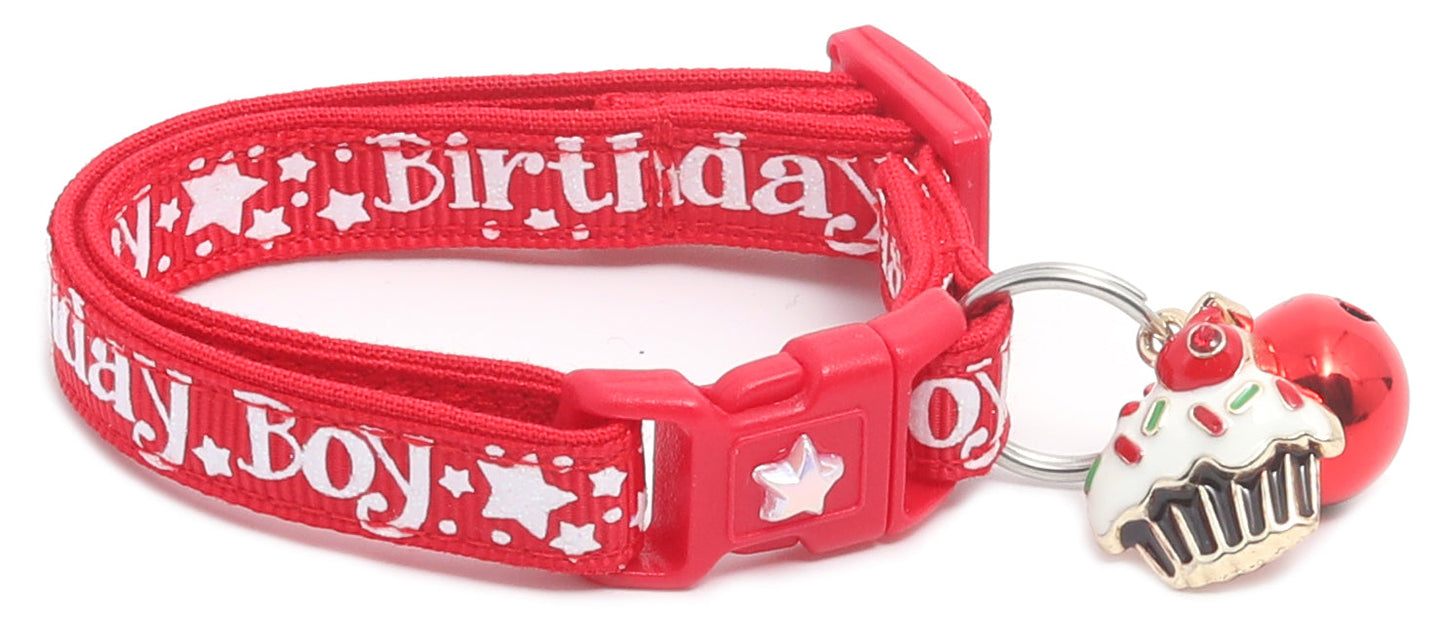 Birthday Boy Breakaway Cat Collar-28
