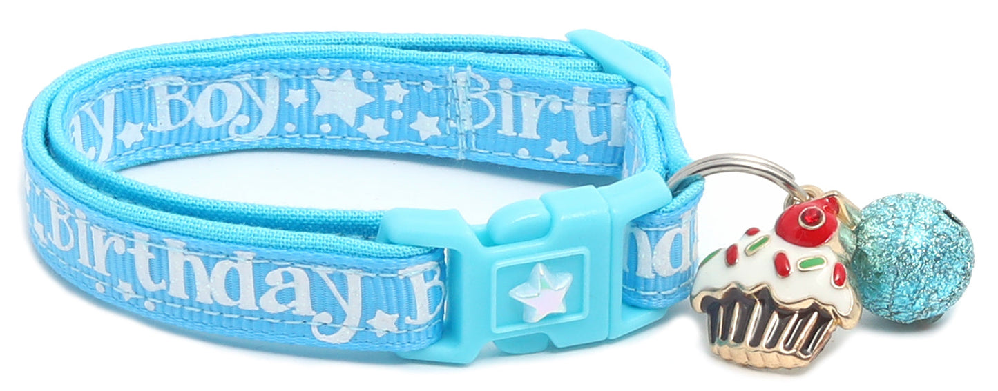 Birthday Boy Breakaway Cat Collar-26
