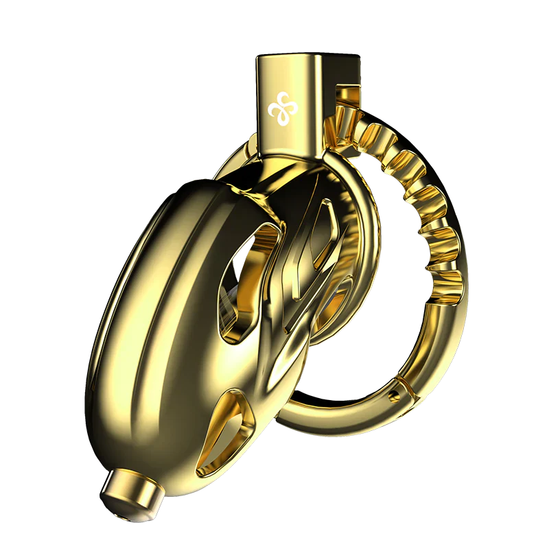 LOCKINK Sevanda Outlaw Urethral Sounding Male Chastity Cage-5