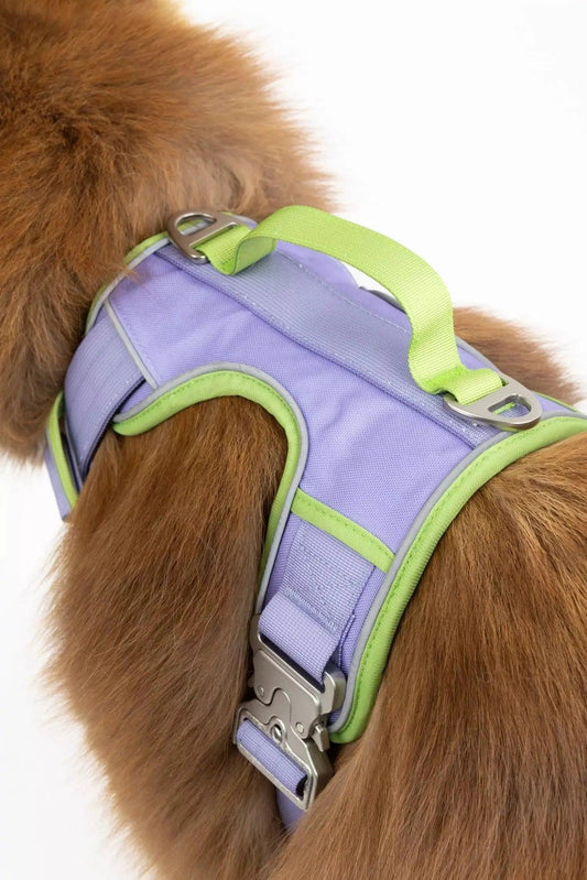 Lavender Garden Ultimate Dog Harness-0