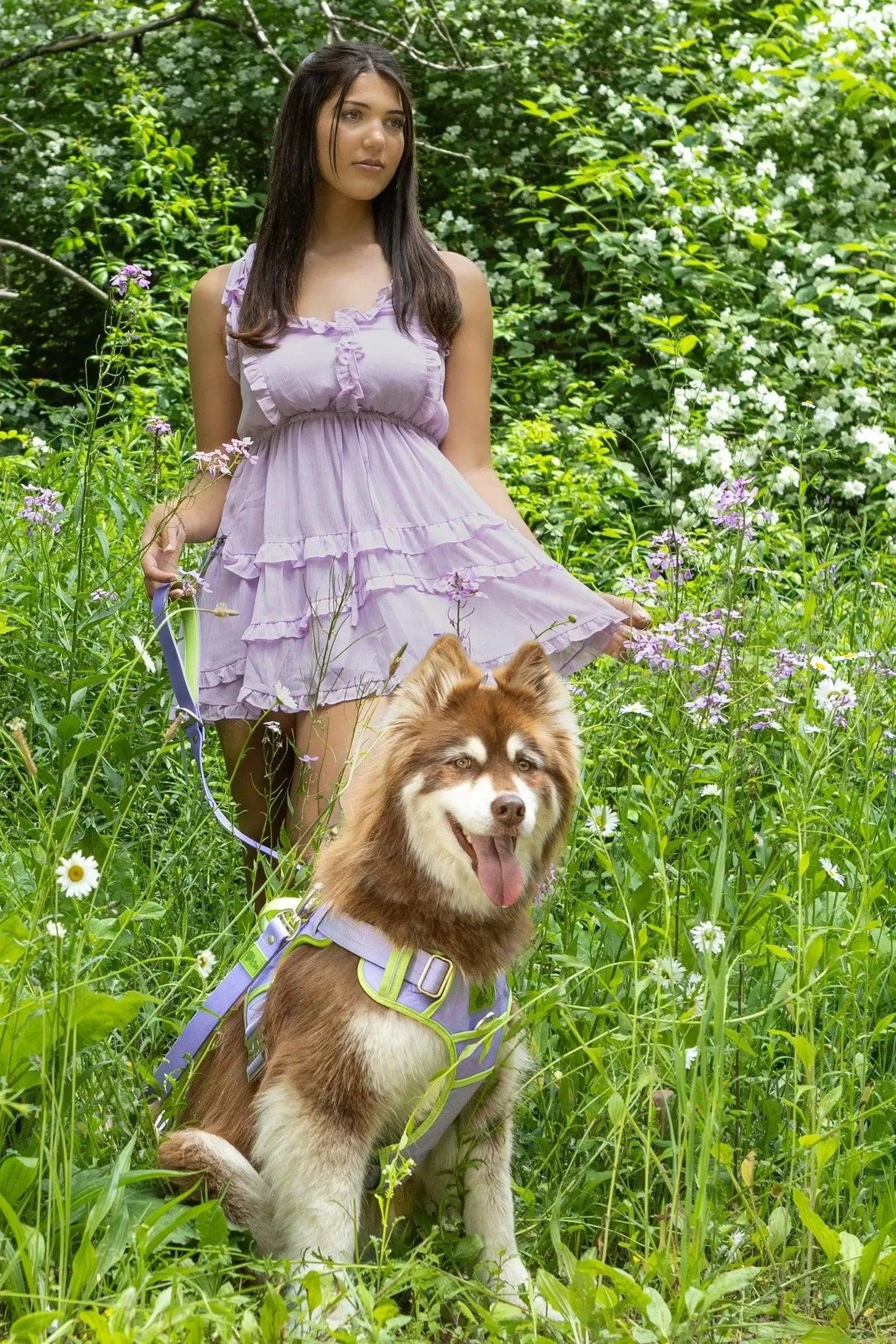 Lavender Garden Ultimate Dog Harness-2