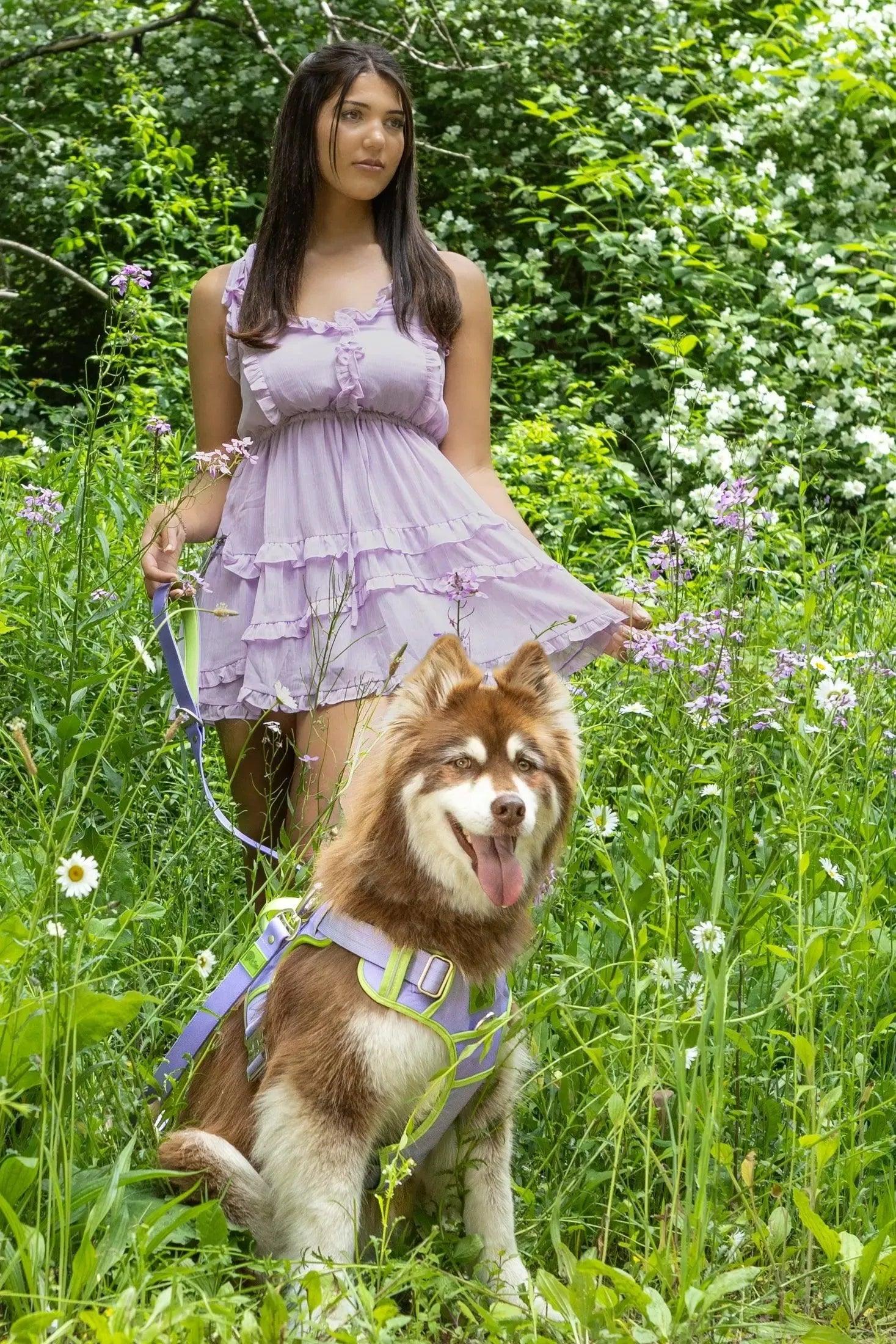 Lavender Garden Ultimate Dog Harness-2