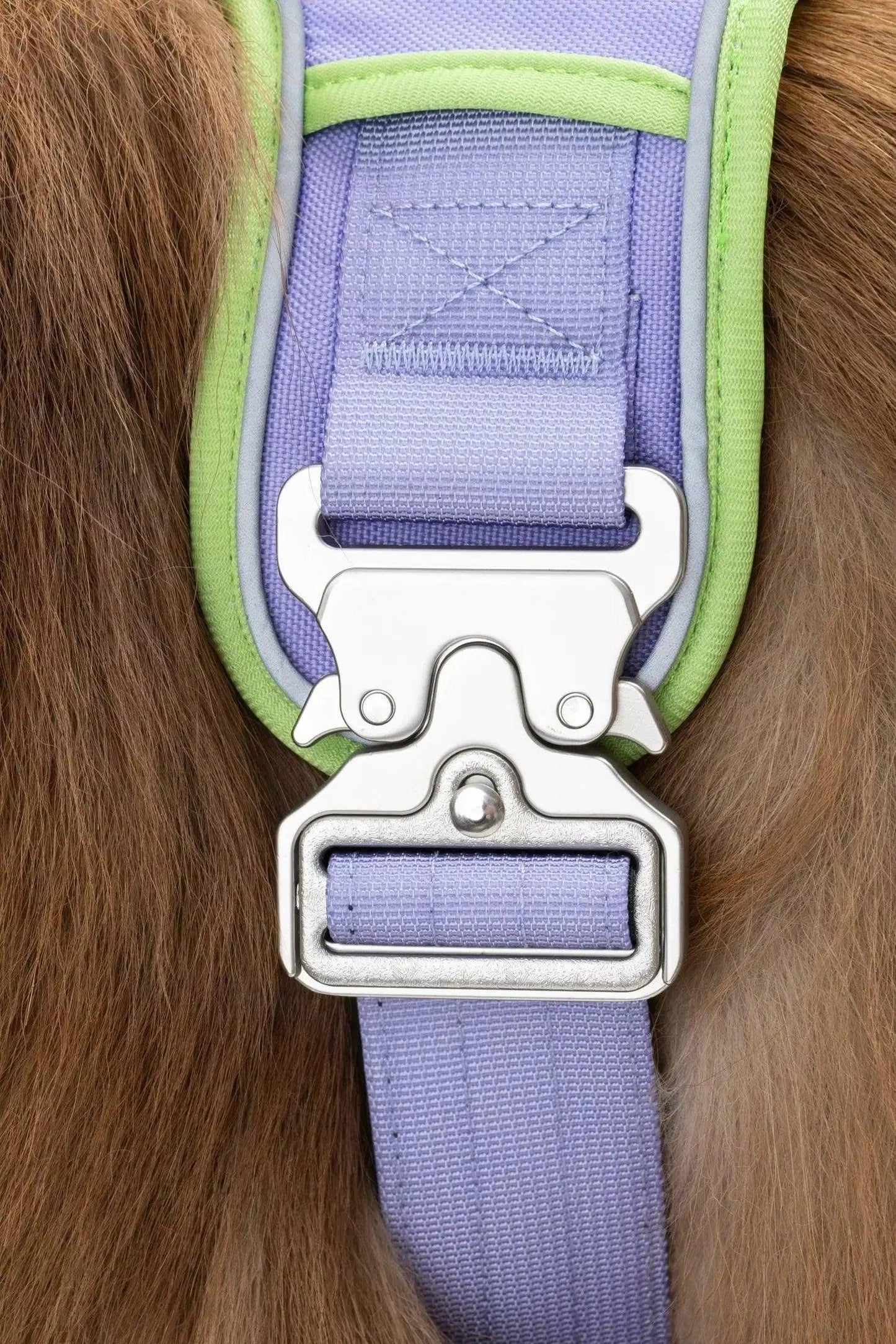 Lavender Garden Ultimate Dog Harness-4