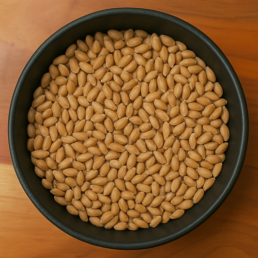 Light Wheat Grain Whole (Triticum Aestivum)-0