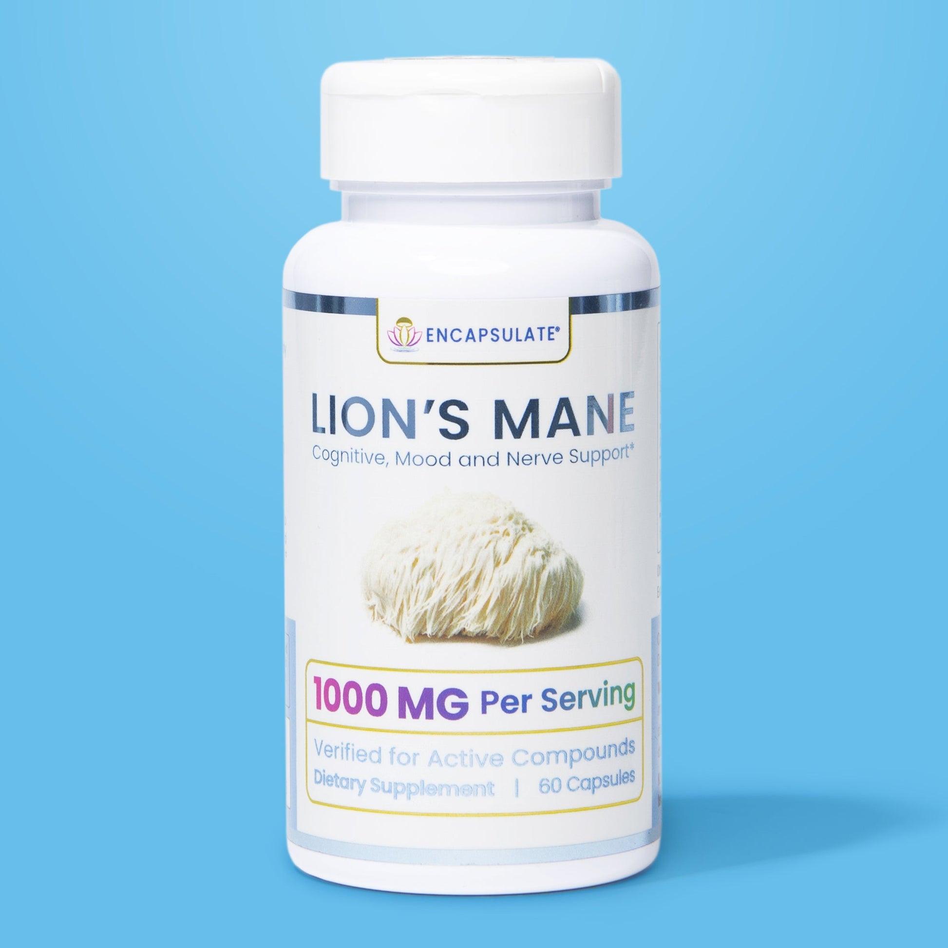 Lion's Mane Mushroom 1:1-0