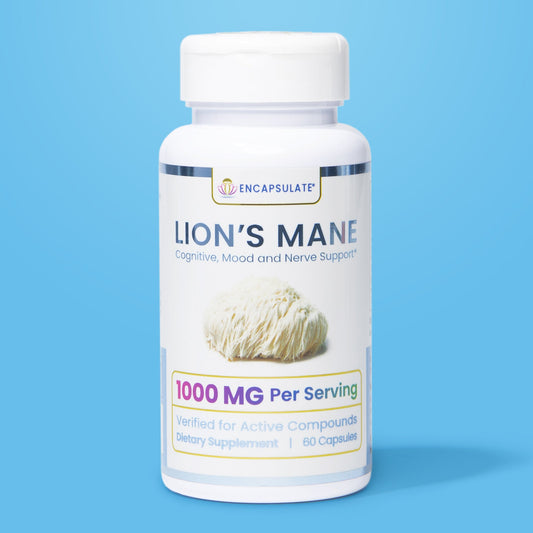 Lion's Mane Mushroom 1:1-0