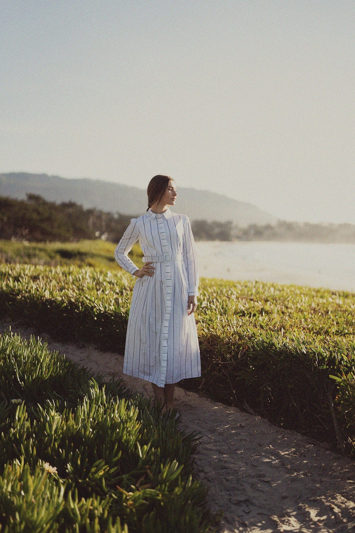 Jeweled Collar Belted Shirtdress-White Pinstripe-0