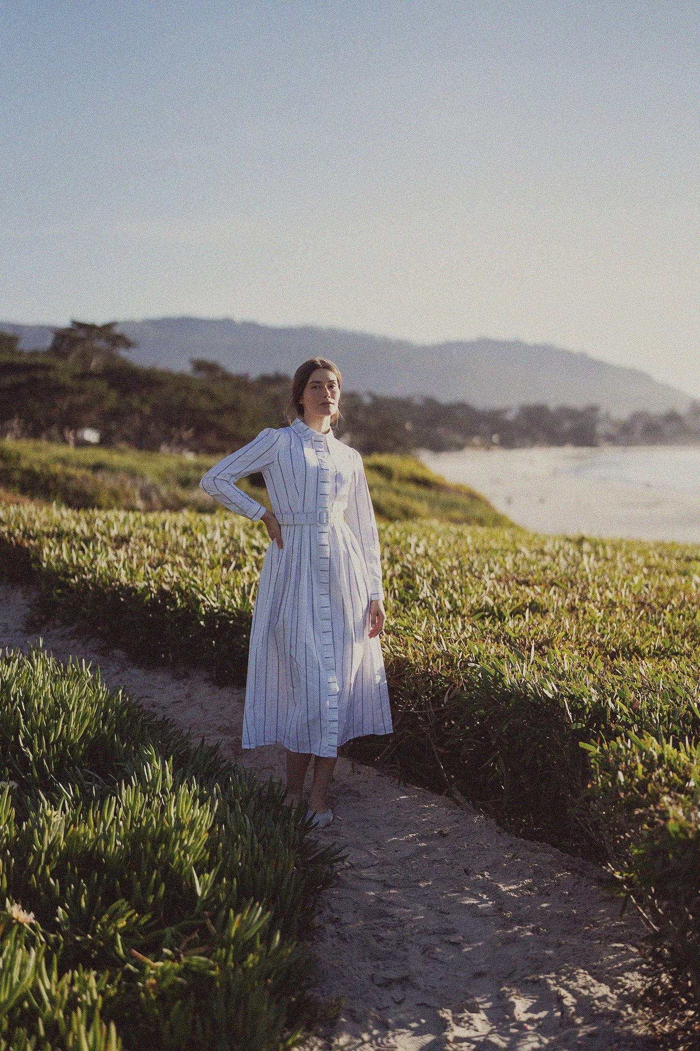 Jeweled Collar Belted Shirtdress-White Pinstripe-3